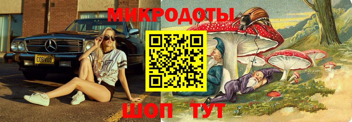 Галлюциногенные грибы Psilocybe Шатура